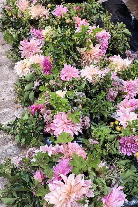 Abondance de CAFE LATTE